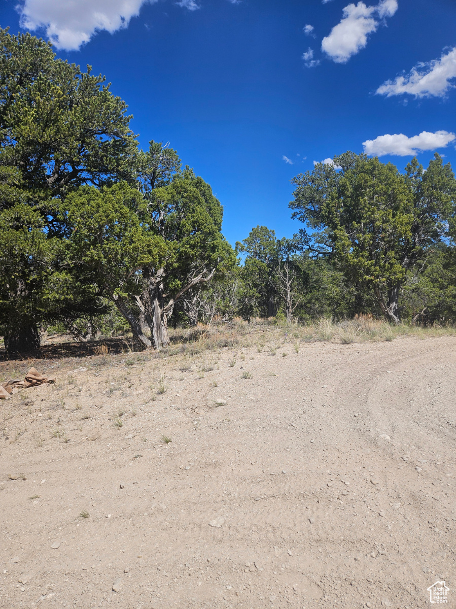 Parcel #00-0014-3077 - Image 6