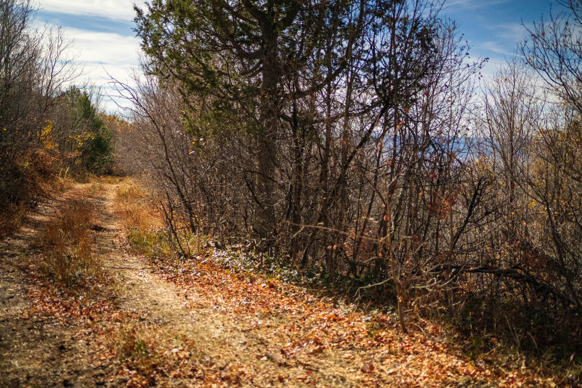 Parcel #51023 - Image 8