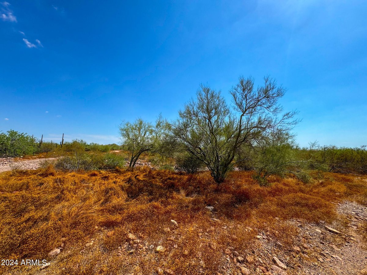 Parcel #10312008H - Image 19