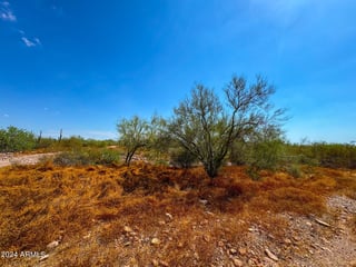 Parcel #10312008H - Thumbnail 19