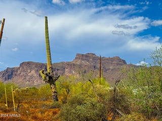 Parcel #10312008H - Thumbnail 14