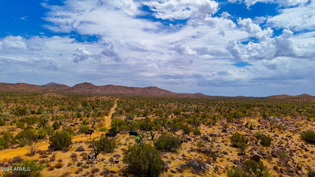 Parcel #12112003 - Image 9