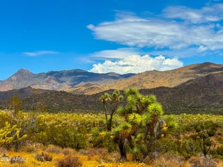 Parcel #12112003 - Thumbnail 2