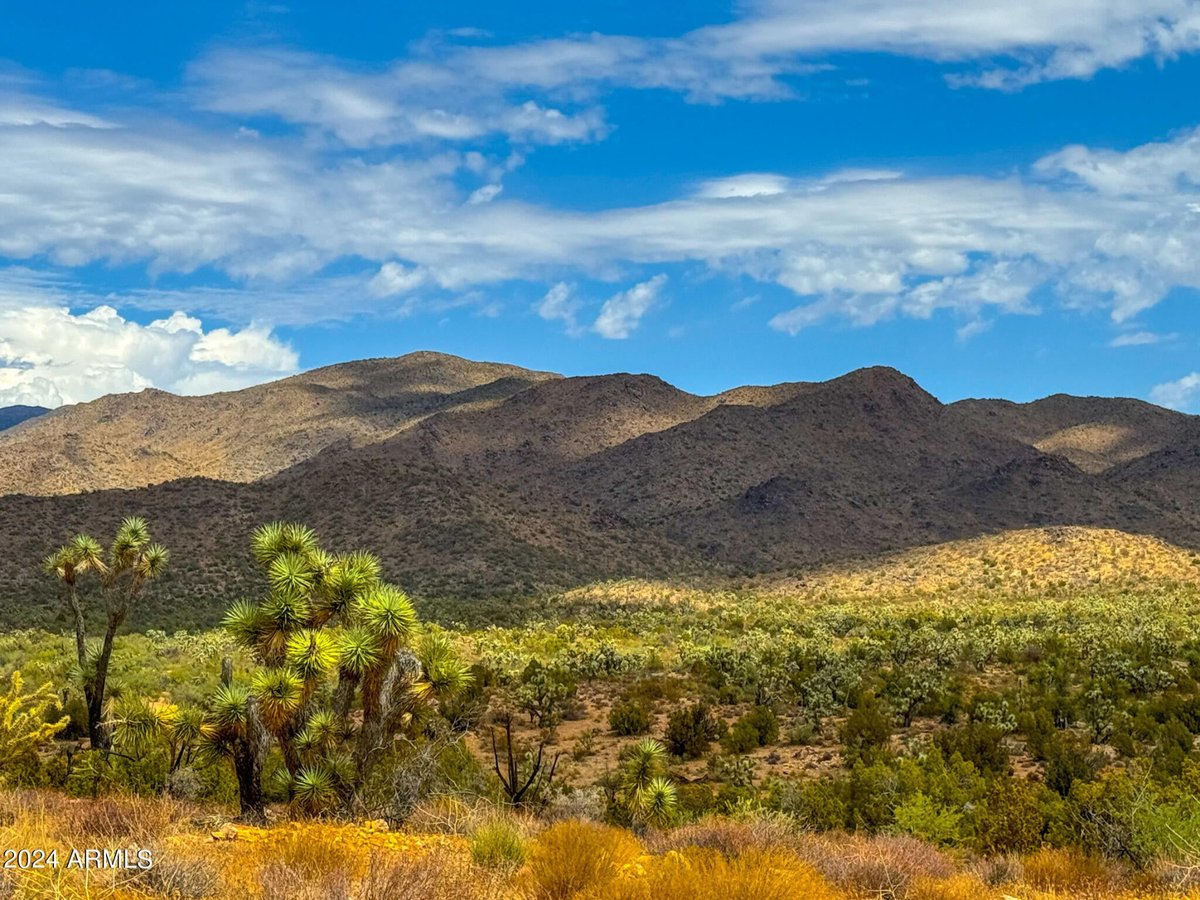 Parcel #12112003 - Image 4