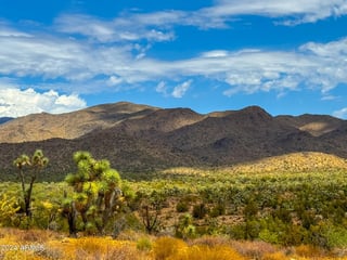 Parcel #12112003 - Thumbnail 4