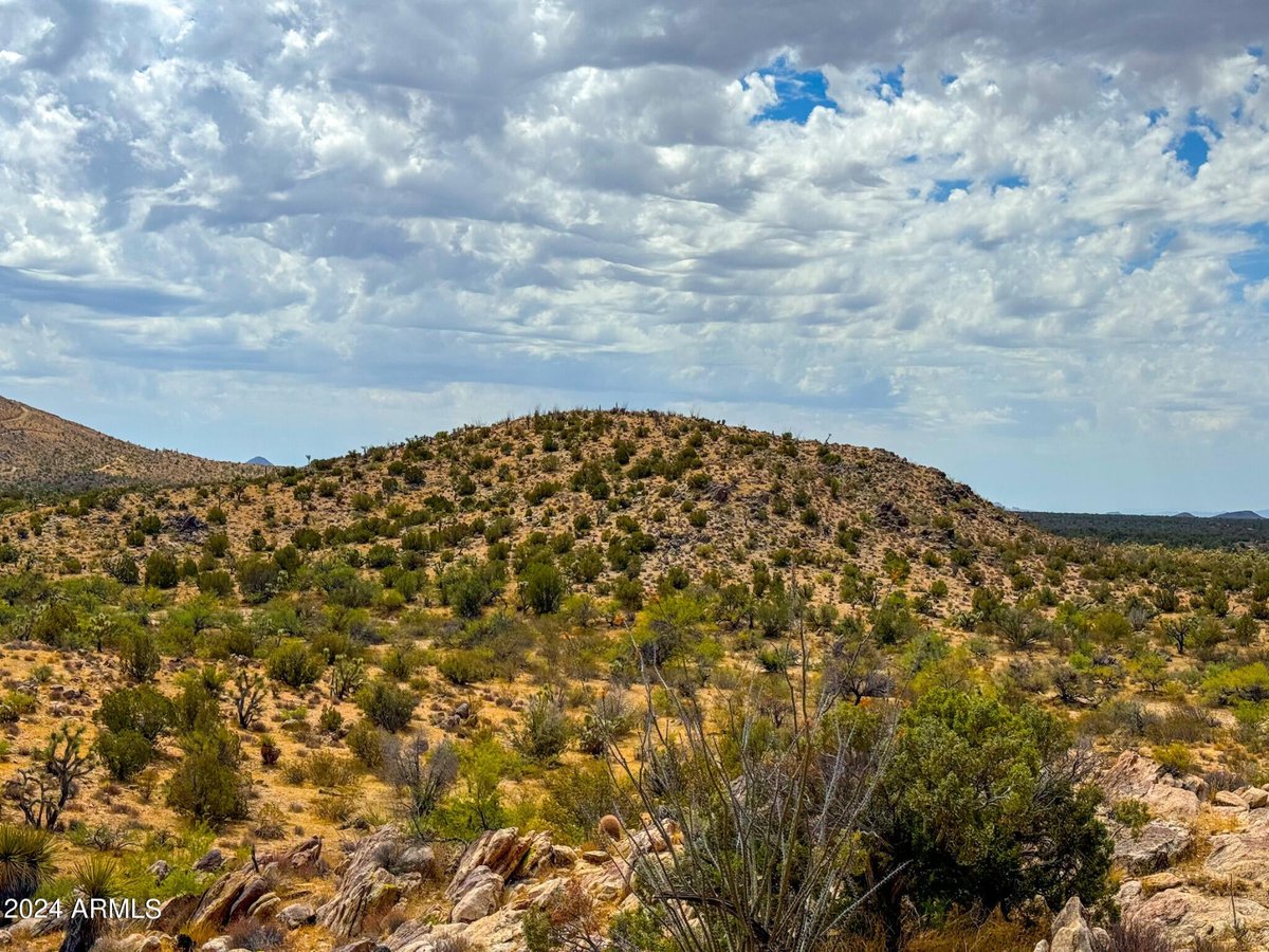 Parcel #12112003 - Image 23