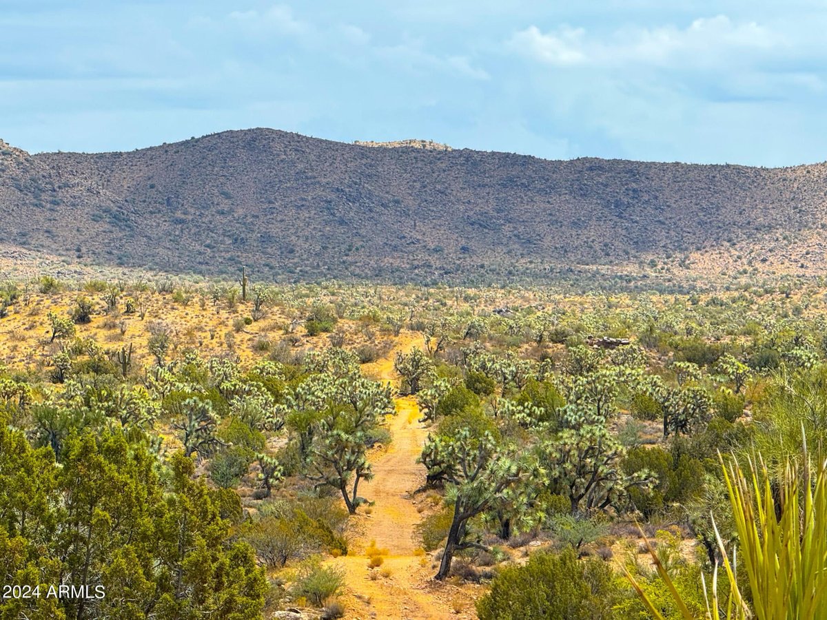 Parcel #12112003 - Image 22