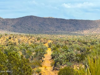 Parcel #12112003 - Thumbnail 22