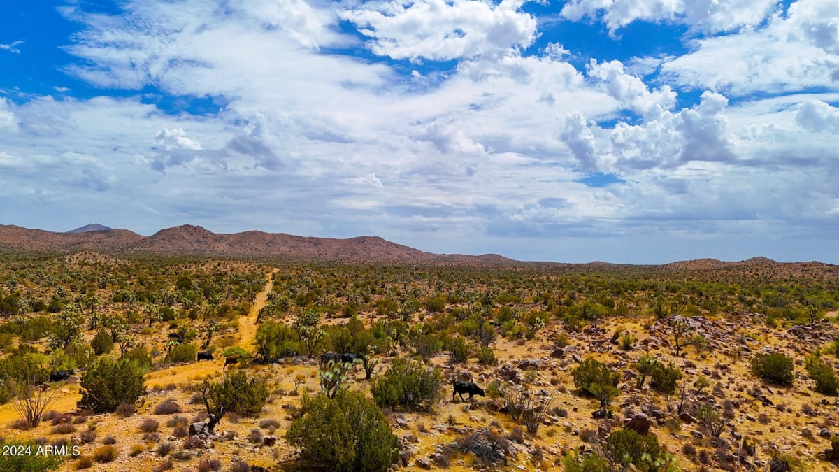 Parcel #12112003 - Image 7