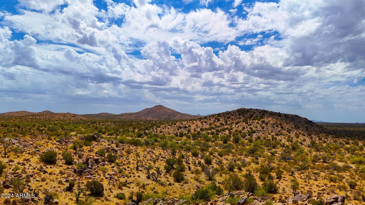 Parcel #12112003 - Image 8