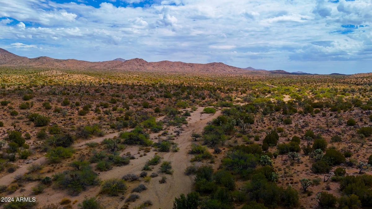 Parcel #12112003 - Image 12