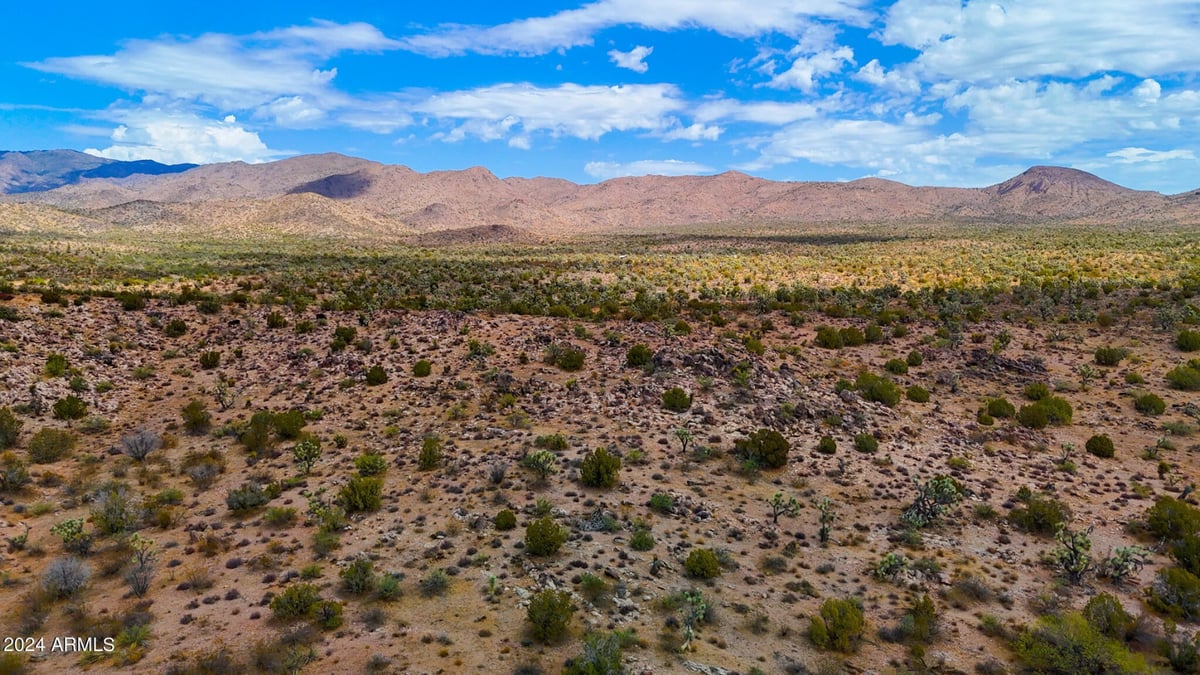 Parcel #12112003 - Image 6