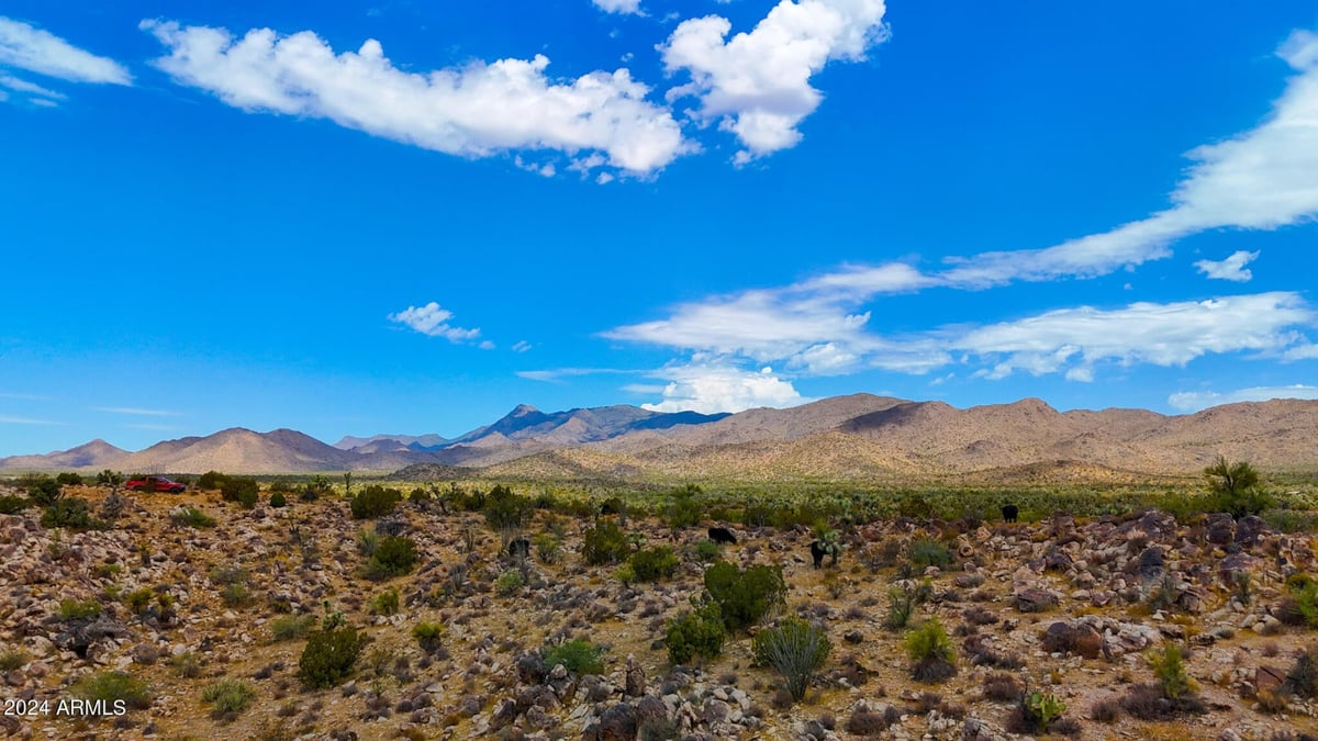 Parcel #12112003 - Image 19