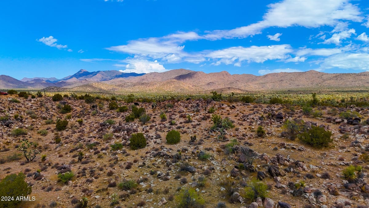 Parcel #12112003 - Image 11