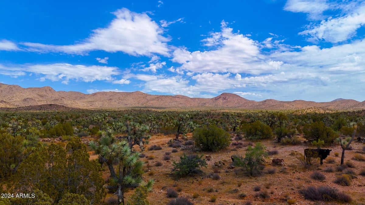 Parcel #12112003 - Image 13