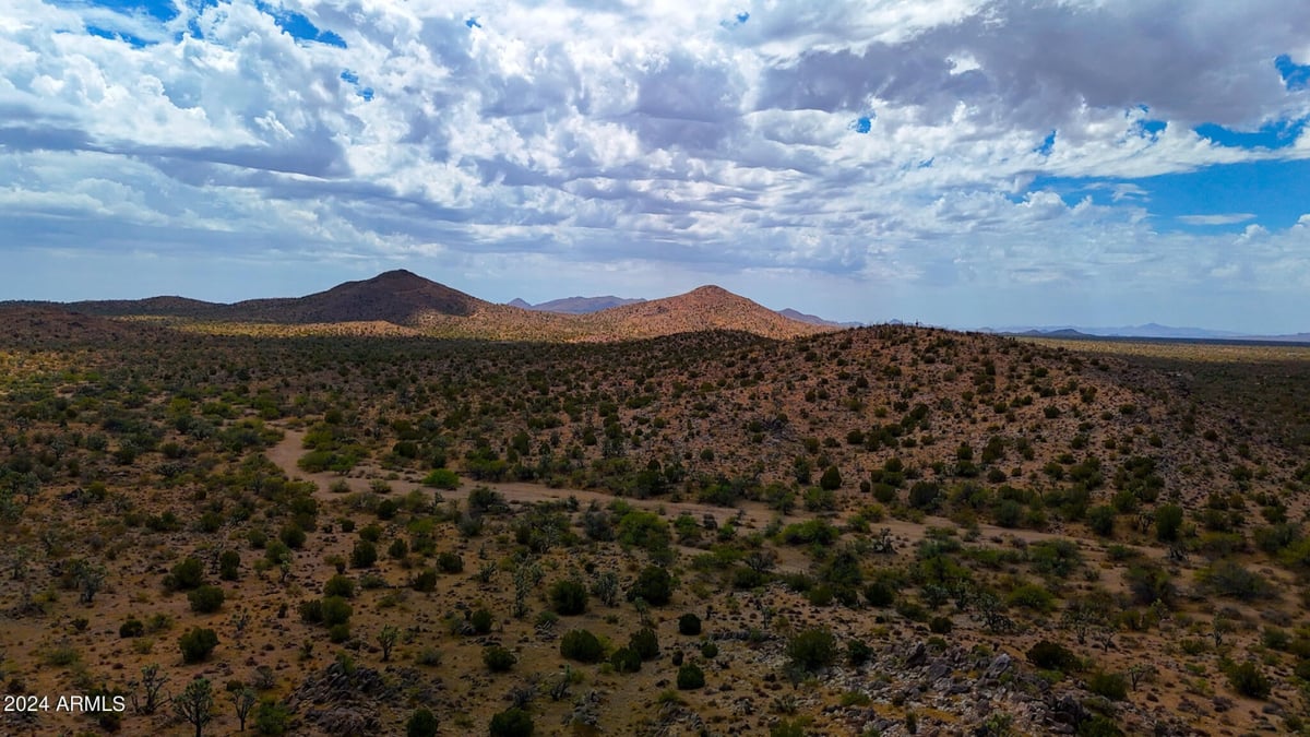 Parcel #12112003 - Image 14