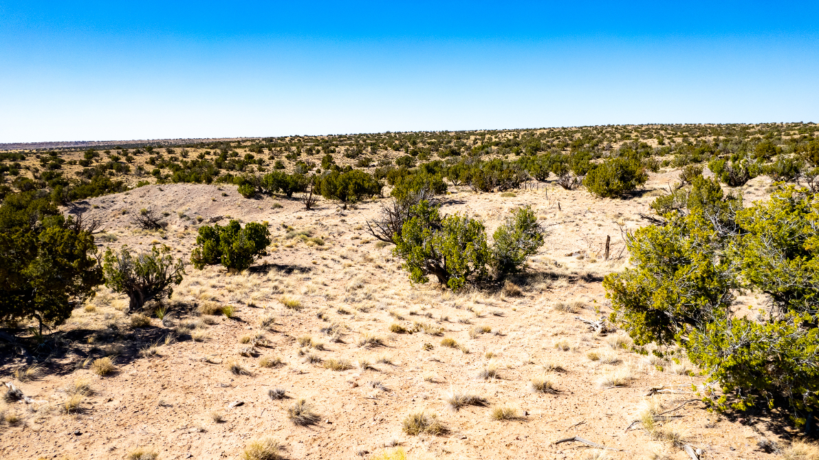 Parcel #204-67-060 - Image 8