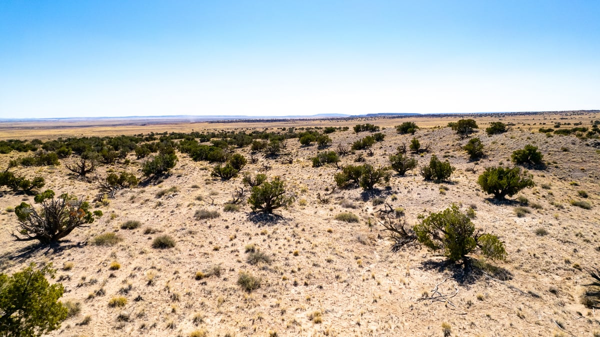 Parcel #204-67-060 - Image 7