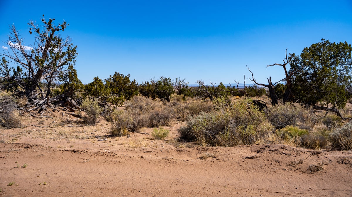Parcel #204-67-060 - Image 9