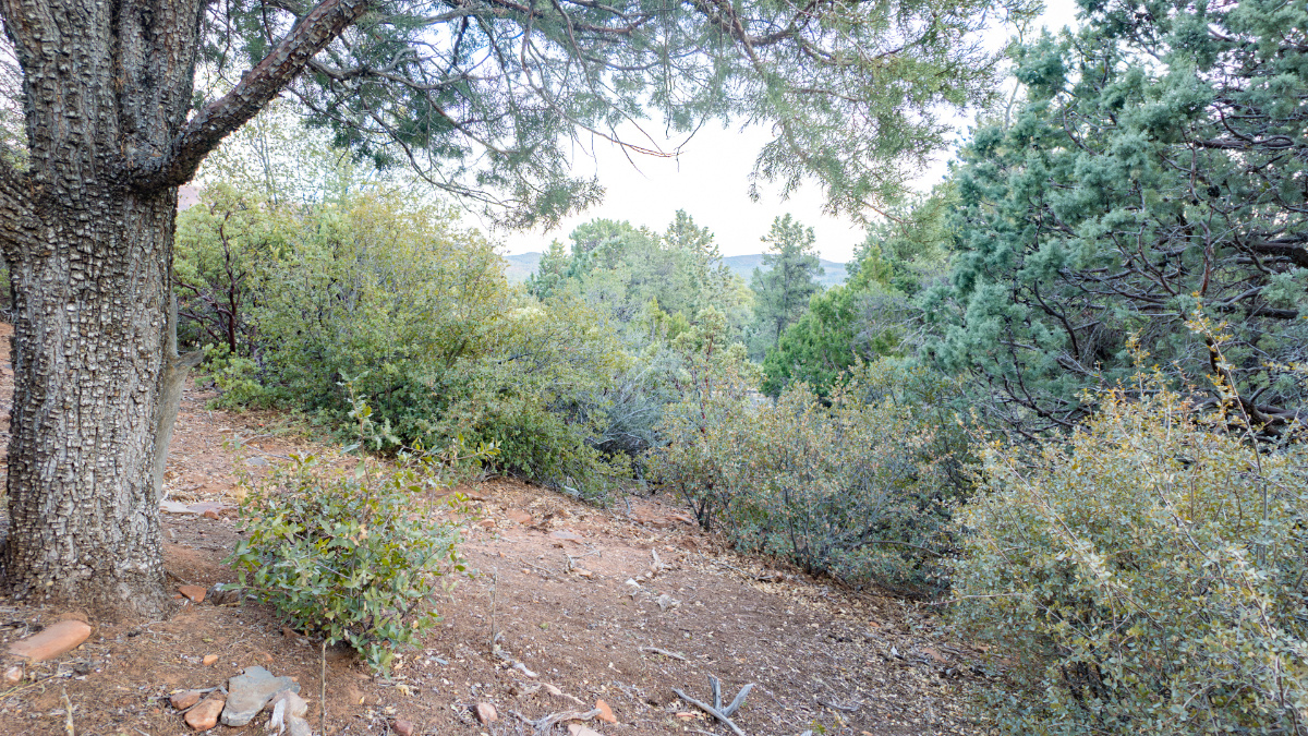 Parcel #301-69-012 - Image 19