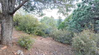 Parcel #301-69-012 - Thumbnail 19