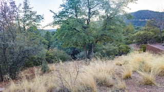 Parcel #301-69-012 - Thumbnail 7