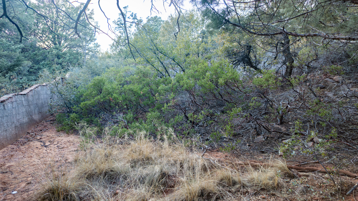 Parcel #301-69-012 - Image 6