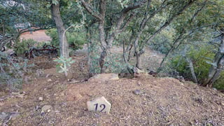 Parcel #301-69-012 - Thumbnail 8