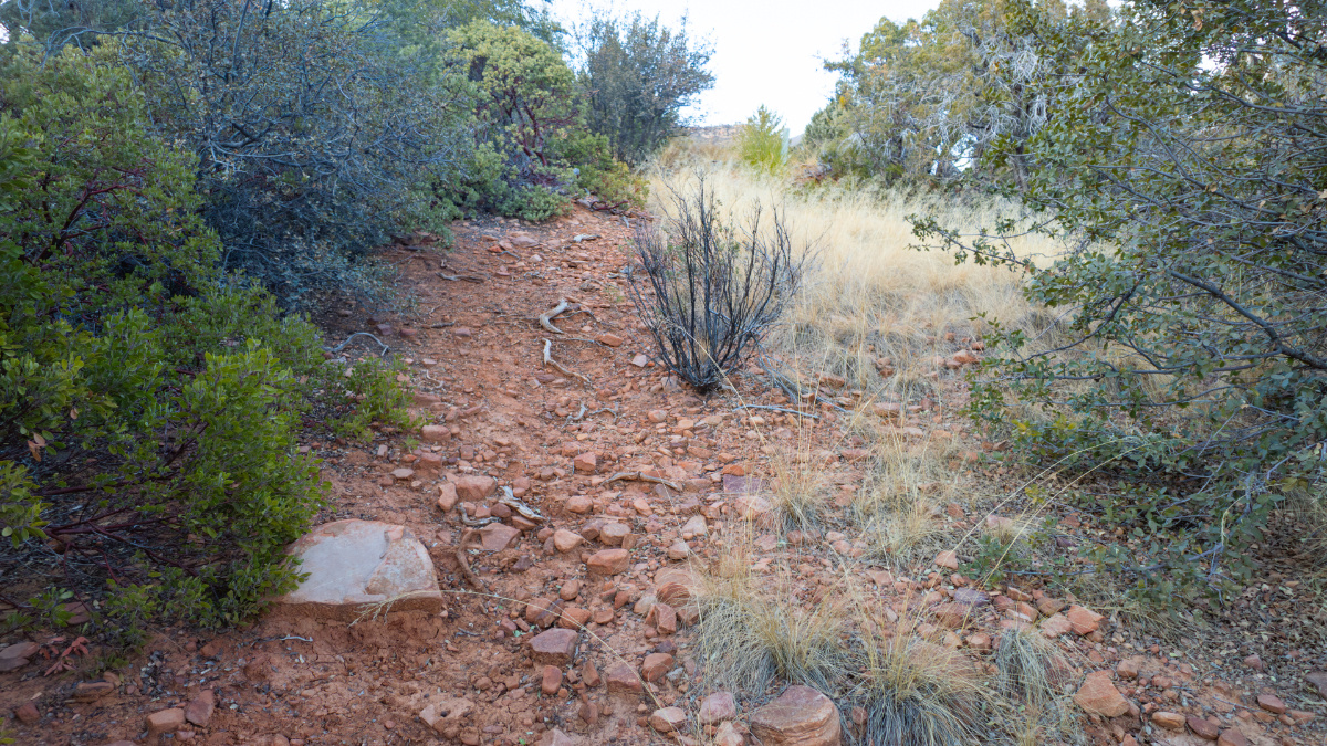 Parcel #301-69-012 - Image 11