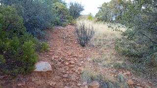 Parcel #301-69-012 - Thumbnail 11