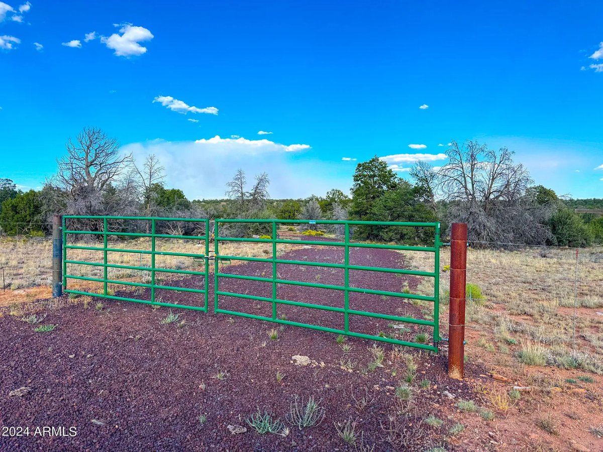 Parcel #50231218 - Image 4