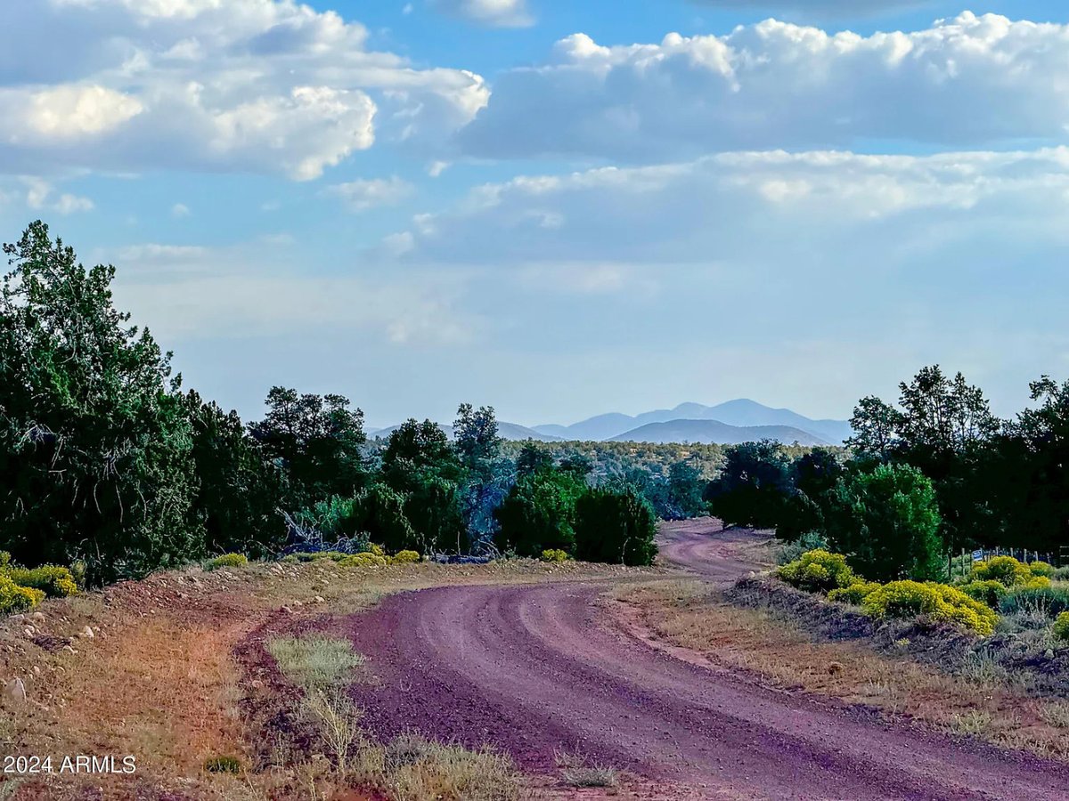 Parcel #50231218 - Image 5