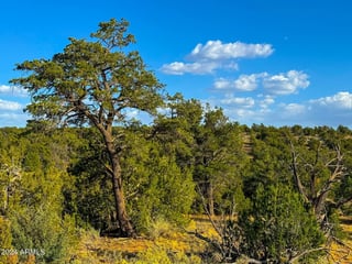 Parcel #50231218 - Thumbnail 21