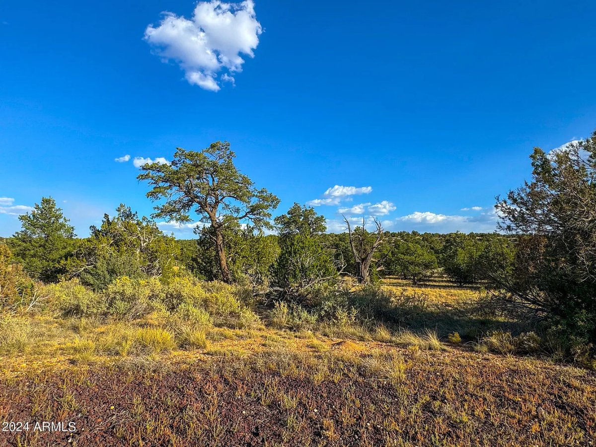 Parcel #50231218 - Image 13