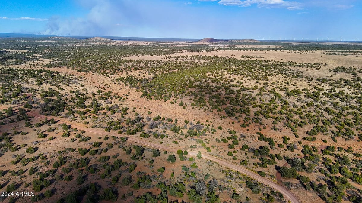 Parcel #50231218 - Image 8