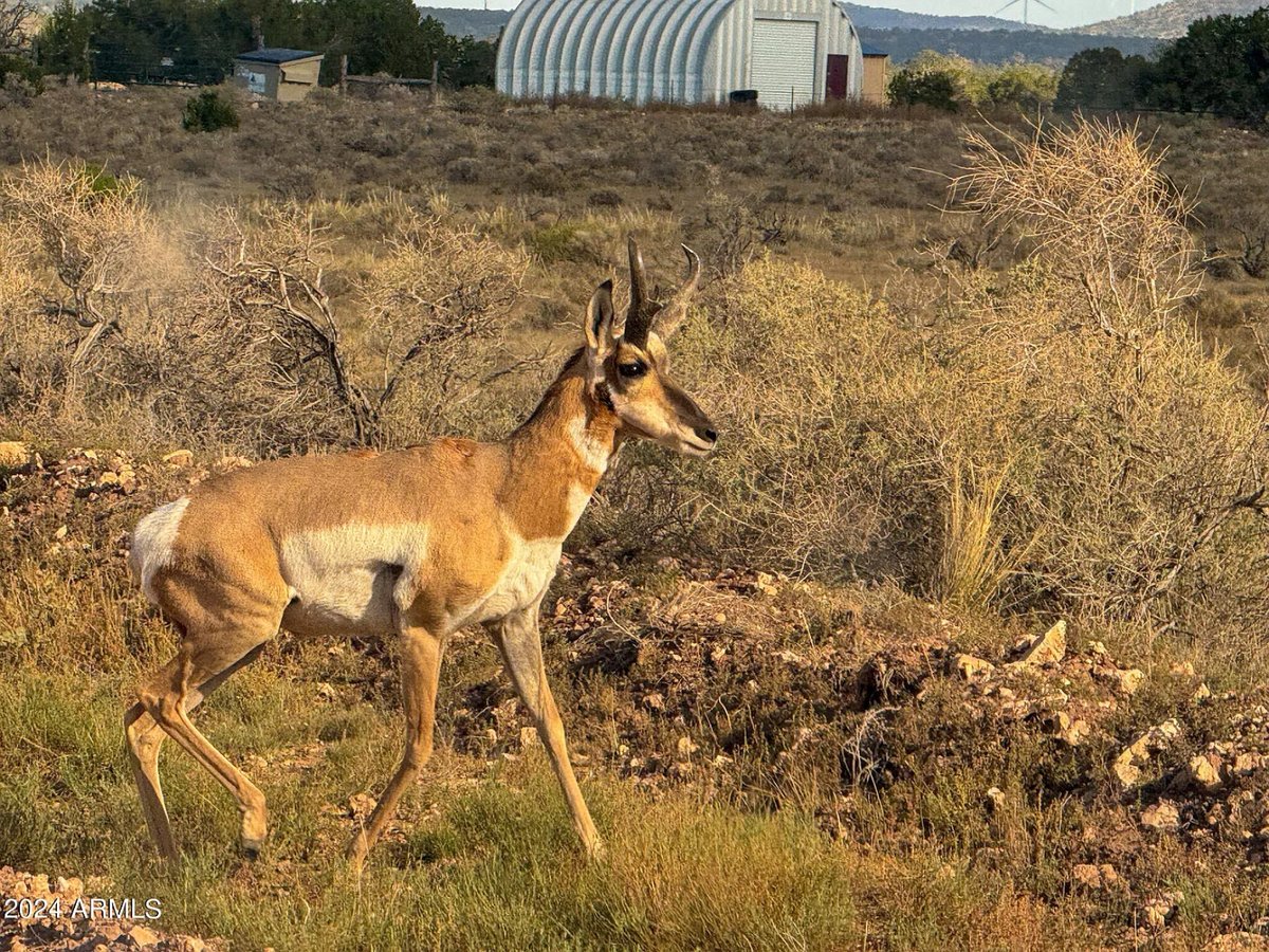 Parcel #50231218 - Image 3