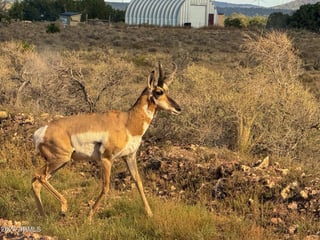 Parcel #50231218 - Thumbnail 3