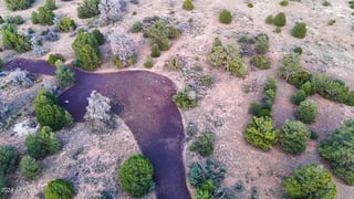 Parcel #50231218 - Thumbnail 9