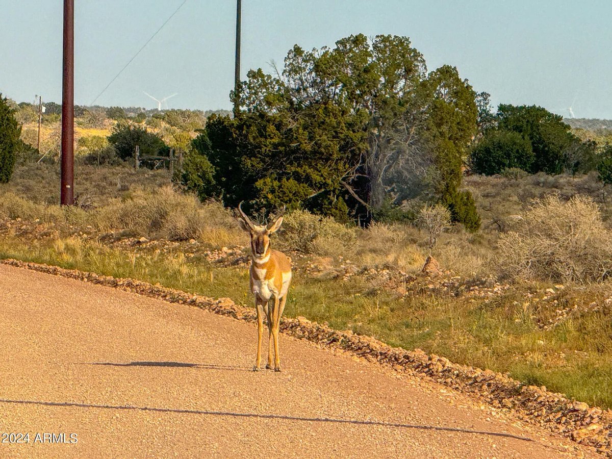 Parcel #50231218 - Image 16