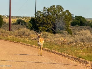 Parcel #50231218 - Thumbnail 16