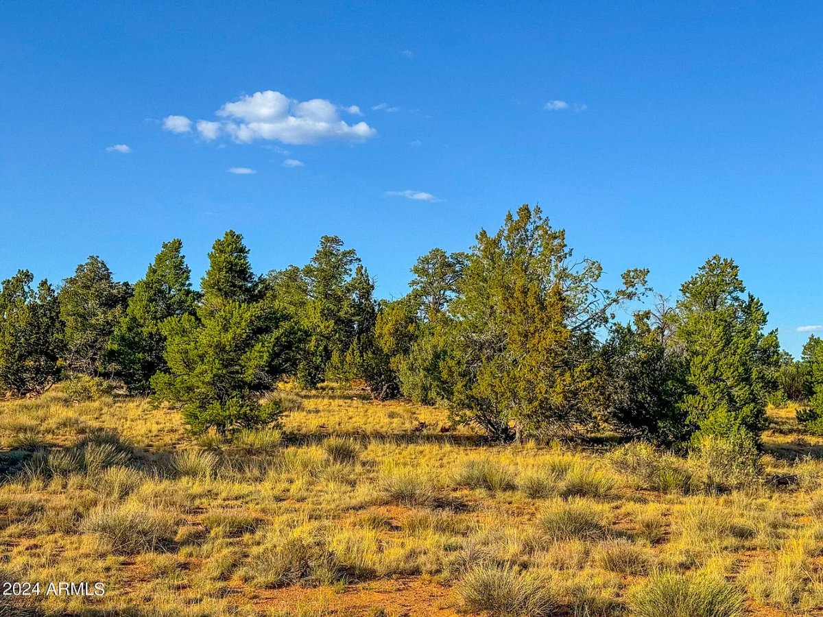 Parcel #50231218 - Image 15