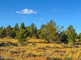 Parcel #50231218 - Thumbnail 15