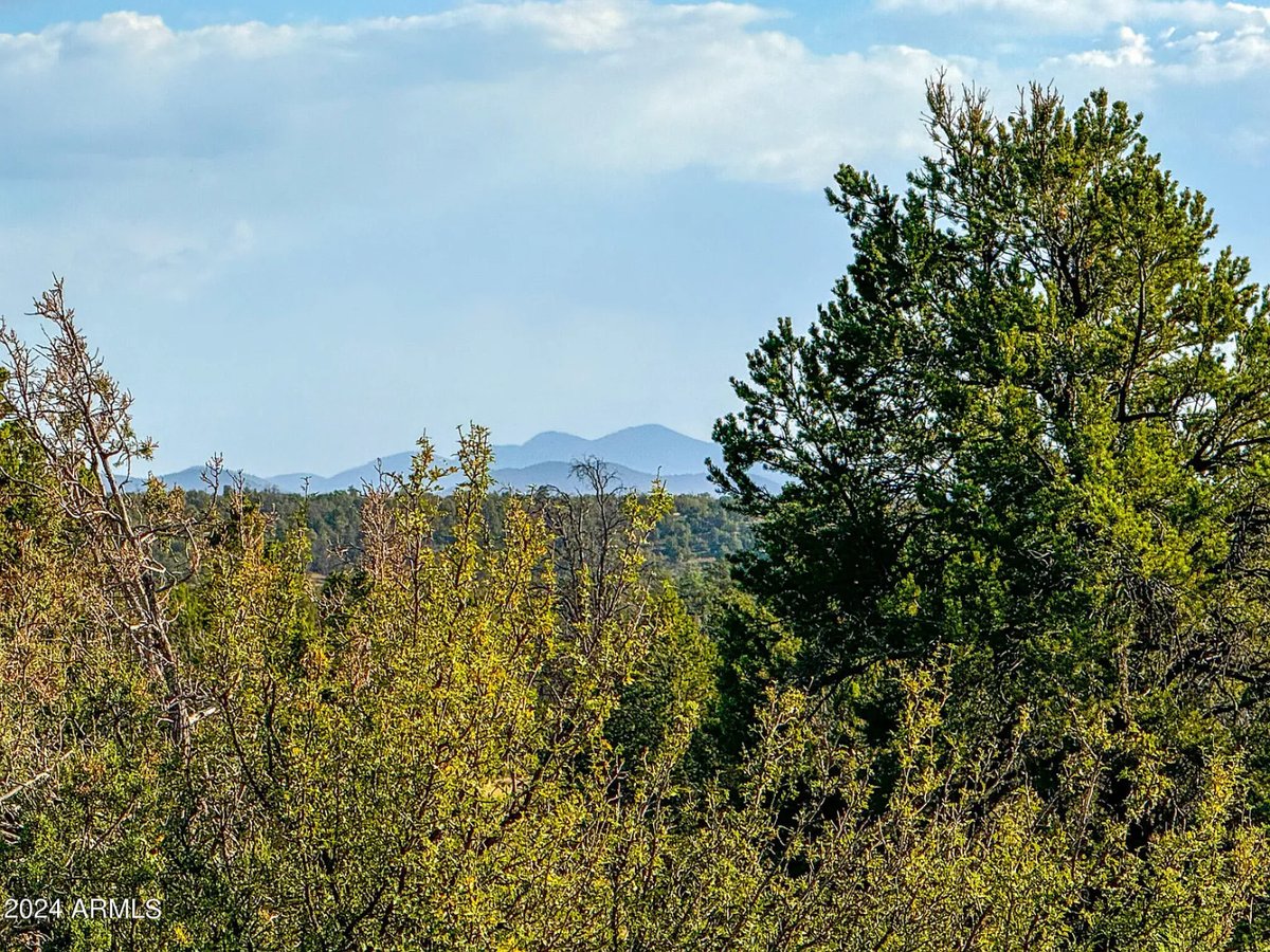 Parcel #50231218 - Image 20