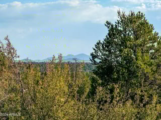 Parcel #50231218 - Thumbnail 20