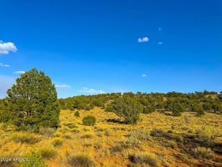 Parcel #50231218 - Thumbnail 11