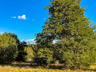 Parcel #50231218 - Thumbnail 23