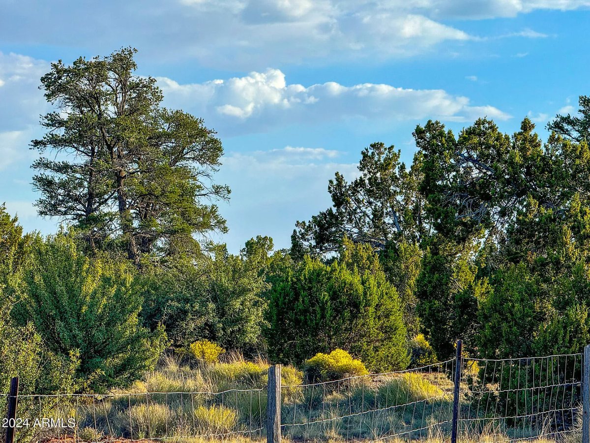 Parcel #50231218 - Image 19