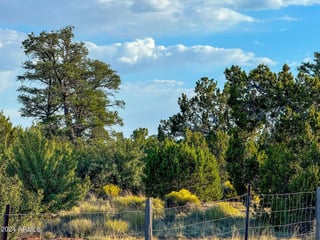 Parcel #50231218 - Thumbnail 19