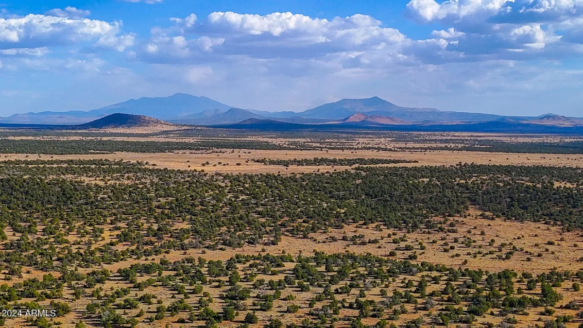 Parcel #50231218 - Image 6