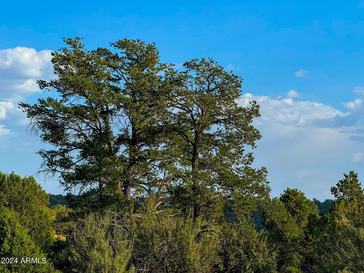 Parcel #50231218 - Image 17